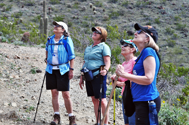 hikers looking up at nest